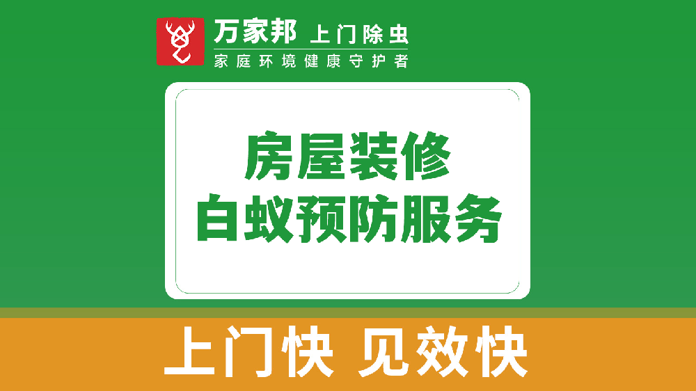 房屋裝修（xiū）白蟻預防