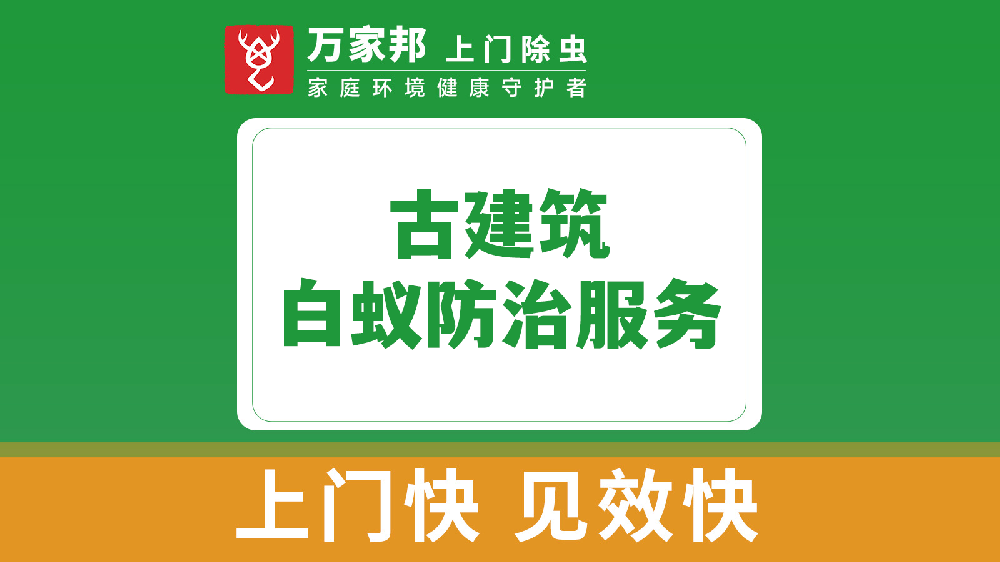 古建築白蟻防治