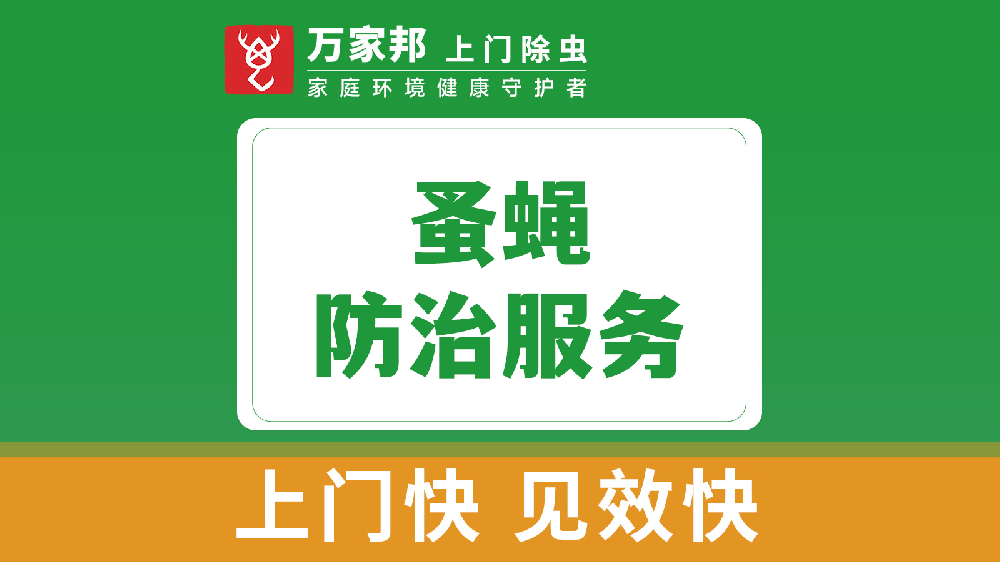 蚤蠅（yíng）防治服務