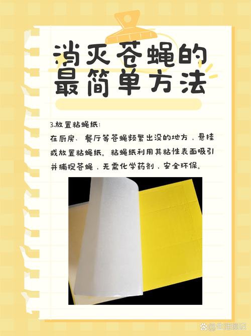 家蠅蟲害防治指南：識別、預防與根除的有效方法